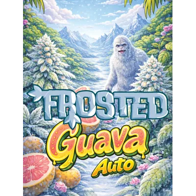 Frosted Guava Auto 3 pack