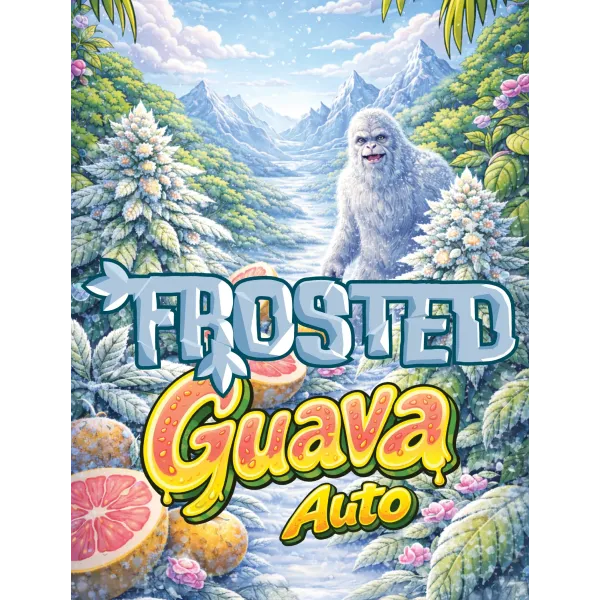 Frosted Guava Auto 3 pack