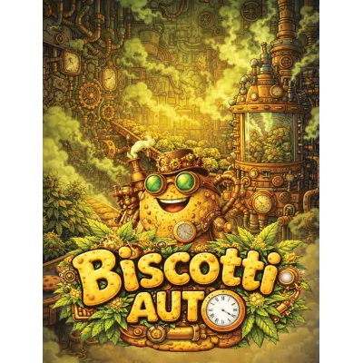 Biscotti Auto  3 Pack